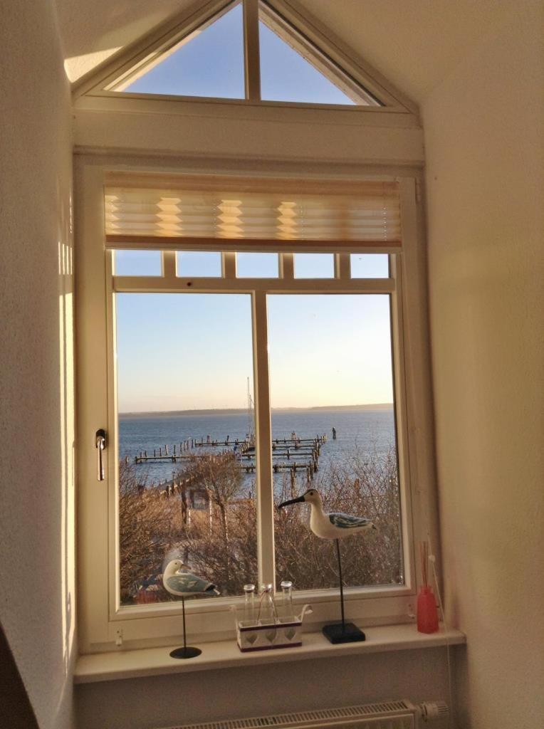 Fewo 27 Strandnahe Ferienwohnung Marlyn Rerik Exteriör bild
