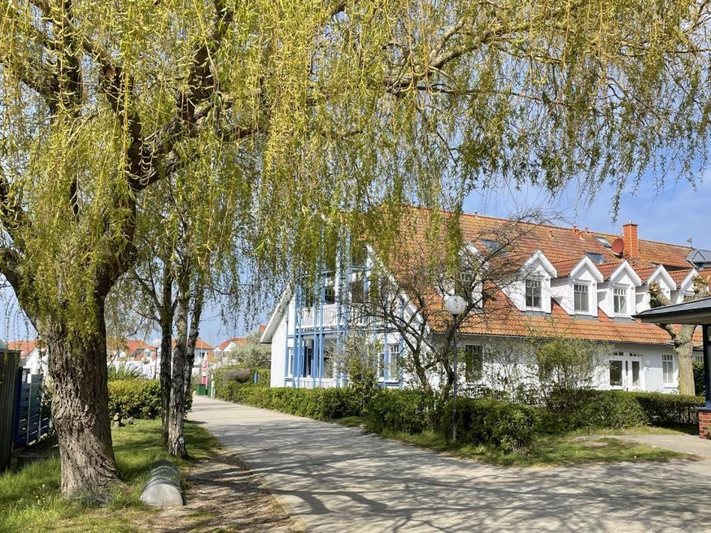 Fewo 27 Strandnahe Ferienwohnung Marlyn Rerik Exteriör bild
