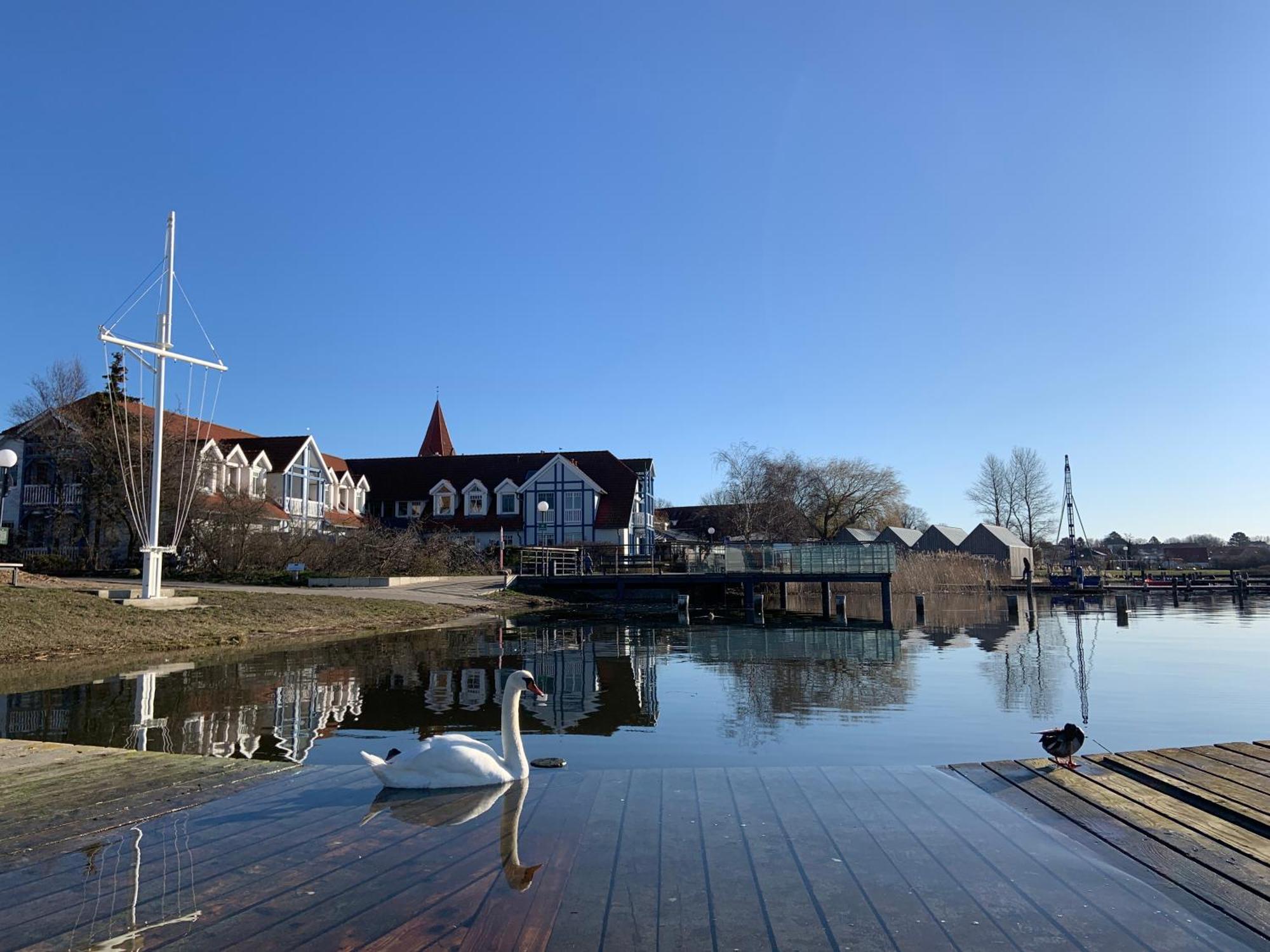 Fewo 27 Strandnahe Ferienwohnung Marlyn Rerik Exteriör bild